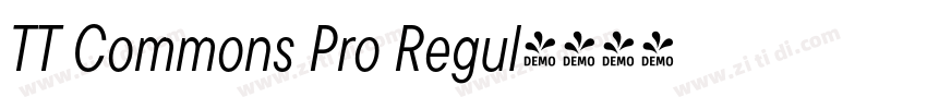 TT Commons Pro Regul字体转换 TT Commons Pro Regul字体转换